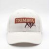 NAIL Merch Hat